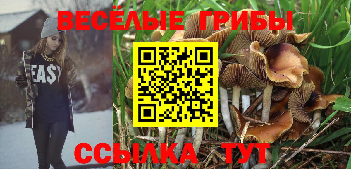 Галлюциногенные грибы ЛСД  Вход с VPN  Астрахань  Псилоцибиновые грибы MAGIC MUSHROOMS 